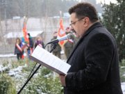 obchody wyzwolenie slonska 2012 19